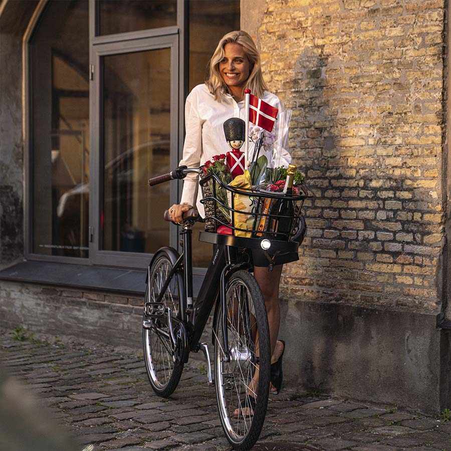 Danish Ebike STROEM City W Model