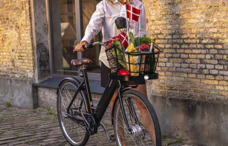 Danish Ebike STROEM City W Black